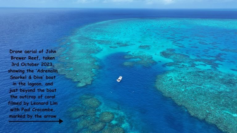 The photographs by Leonard Lim are all from a section of reef has particularly healthy corals and exceptionally high coral cover. There are other sections of John Brewer reef that consist of coral rubble. Coral cover and coral colour always varies with the particular habitat at a reef and its position relative to the prevailing wind, the last cyclone, geological history and the current season. The drone photograph was taken by Stuart Ireland from the back of the Adrenalin Snorkel and Dive boat.