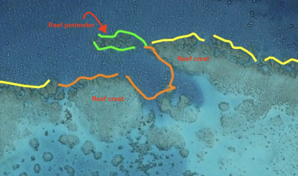 The official surveys of coral cover are somewhat misleading because the survey is done of just one habitat type, the reef perimeter. Most of the coral is at the reef crest. The survey of John Brewer reef followed the track shown by the yellow, orange and green lines.